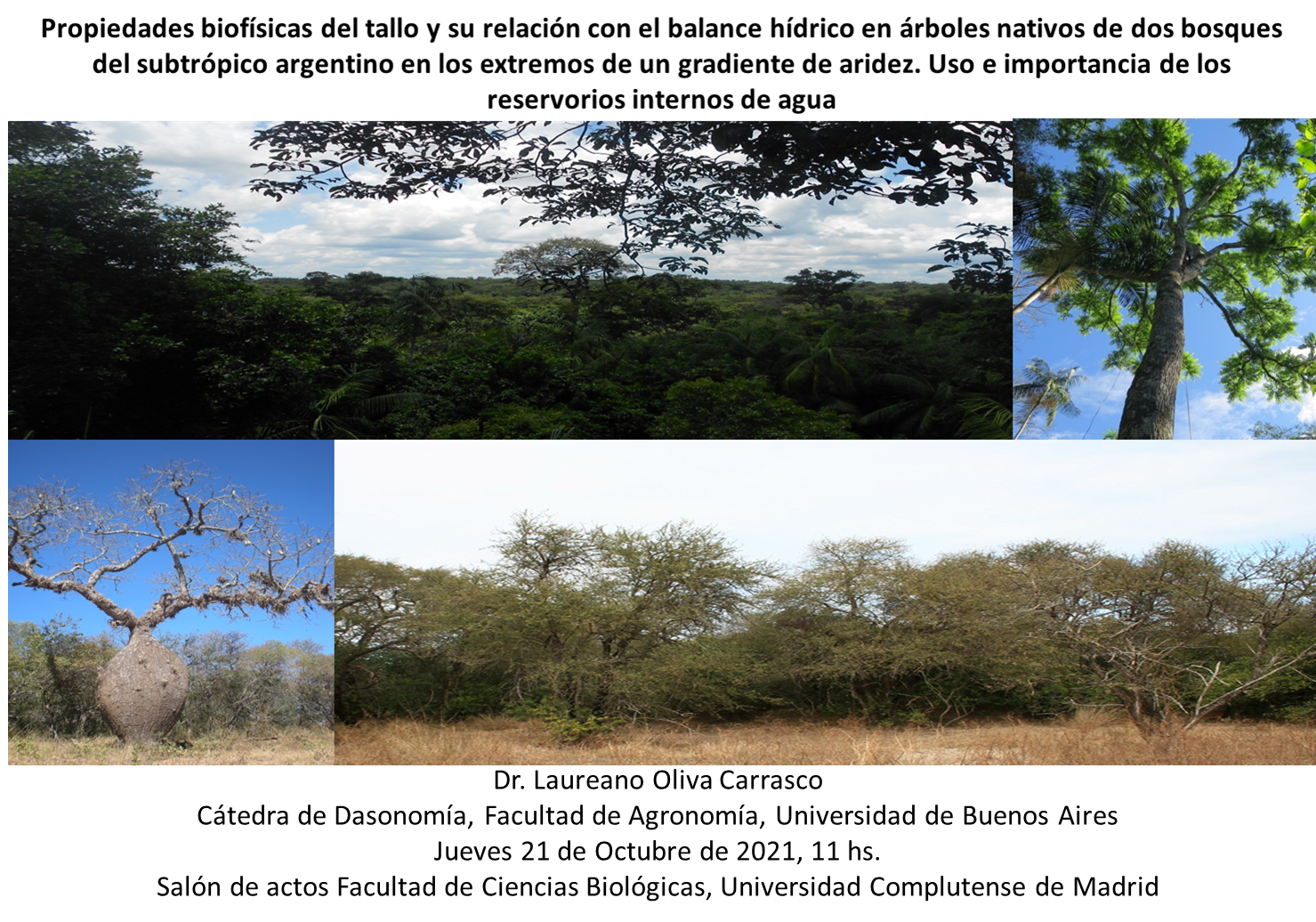 Conferencia, 21 de octubre: Propiedades biofísicas del tallo y su relación con el balance hídrico en árboles nativos de dos bosques del subtrópico argentino en los extremos de un gradiente de aridez. Uso e importancia de los reservorios internos de a - 1